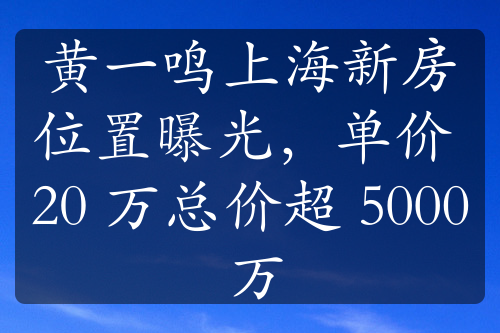 黄一鸣上海新房位置曝光，单价 20 万总价超 5000 万