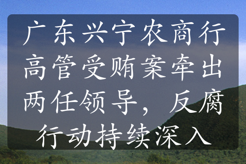 广东兴宁农商行高管受贿案牵出两任领导，反腐行动持续深入