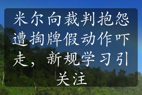 米尔向裁判抱怨遭掏牌假动作吓走，新规学习引关注