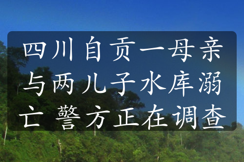 四川自贡一母亲与两儿子水库溺亡 警方正在调查