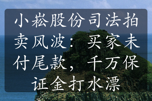 小崧股份司法拍卖风波：买家未付尾款，千万保证金打水漂