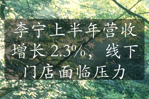 李宁上半年营收增长 2.3%，线下门店面临压力