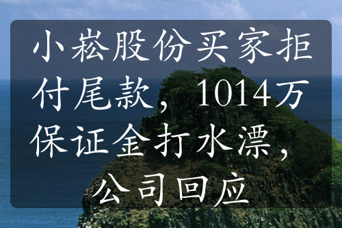 小崧股份买家拒付尾款，1014万保证金打水漂，公司回应