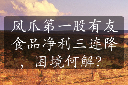 凤爪第一股有友食品净利三连降，困境何解？