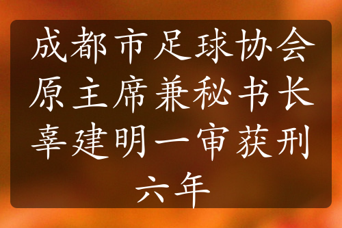 成都市足球协会原主席兼秘书长辜建明一审获刑六年