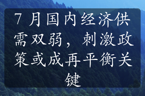 7 月国内经济供需双弱，刺激政策或成再平衡关键