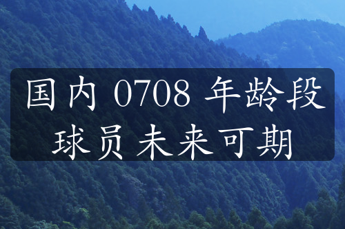 国内 0708 年龄段球员未来可期