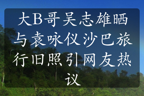 大B哥吴志雄晒与袁咏仪沙巴旅行旧照引网友热议