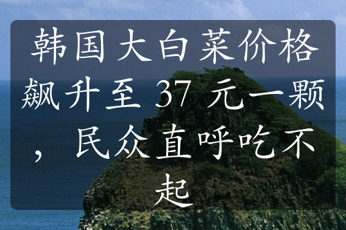 韩国大白菜价格飙升至 37 元一颗，民众直呼吃不起