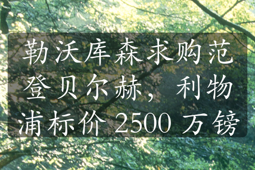 勒沃库森求购范登贝尔赫，利物浦标价 2500 万镑