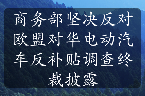 商务部坚决反对欧盟对华电动汽车反补贴调查终裁披露