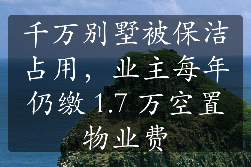 千万别墅被保洁占用，业主每年仍缴 1.7 万空置物业费