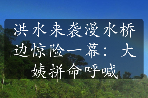 洪水来袭漫水桥边惊险一幕：大姨拼命呼喊