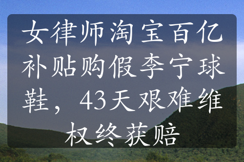 女律师淘宝百亿补贴购假李宁球鞋，43天艰难维权终获赔