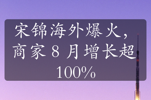 宋锦海外爆火，商家 8 月增长超 100%