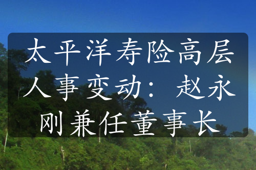 太平洋寿险高层人事变动：赵永刚兼任董事长