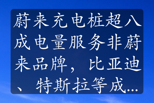 蔚来充电桩超八成电量服务非蔚来品牌，比亚迪、特斯拉等成主要用户