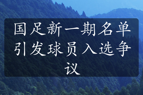 国足新一期名单引发球员入选争议