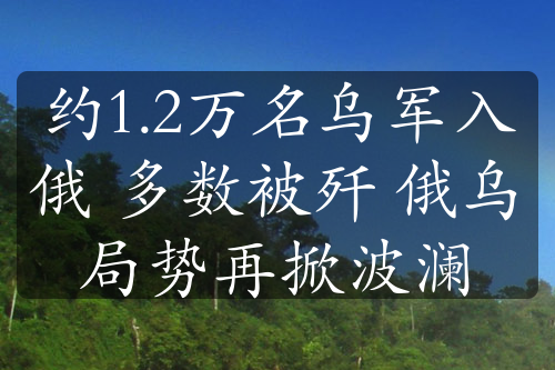 约1.2万名乌军入俄 多数被歼 俄乌局势再掀波澜