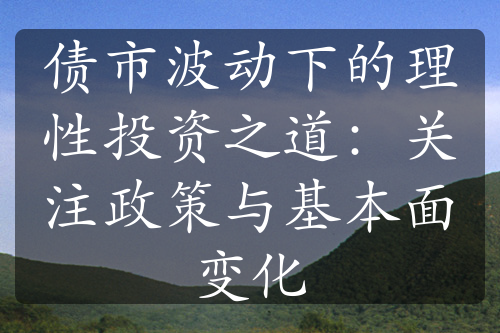 债市波动下的理性投资之道：关注政策与基本面变化