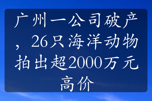 广州一公司破产，26只海洋动物拍出超2000万元高价