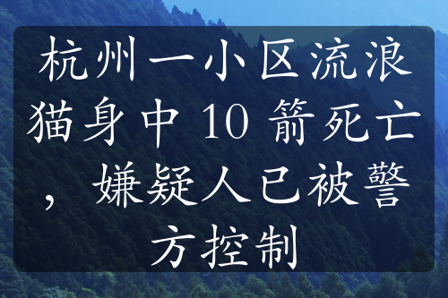 杭州一小区流浪猫身中 10 箭死亡，嫌疑人已被警方控制