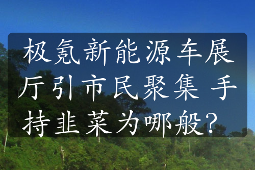 极氪新能源车展厅引市民聚集 手持韭菜为哪般？