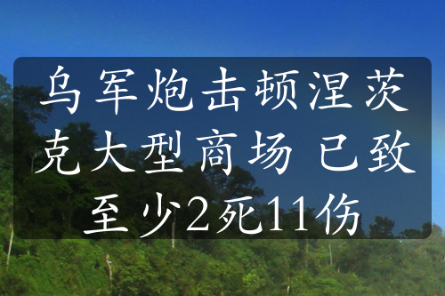 乌军炮击顿涅茨克大型商场 已致至少2死11伤