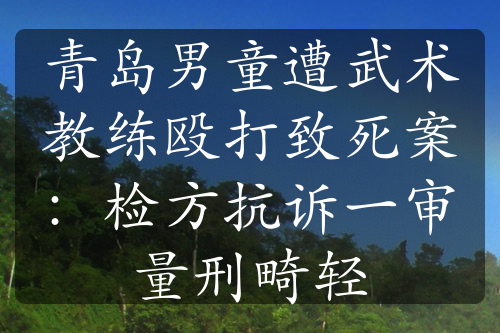 青岛男童遭武术教练殴打致死案：检方抗诉一审量刑畸轻