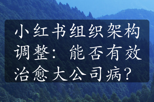 小红书组织架构调整：能否有效治愈大公司病？