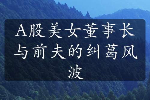 A股美女董事长与前夫的纠葛风波