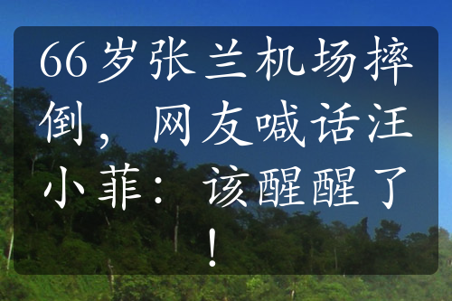 66岁张兰机场摔倒，网友喊话汪小菲：该醒醒了！